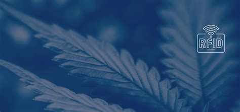 rfid tracking of marajuana plants|RFID For Cannabis: Why The Cannabis Industry Needs RFID.